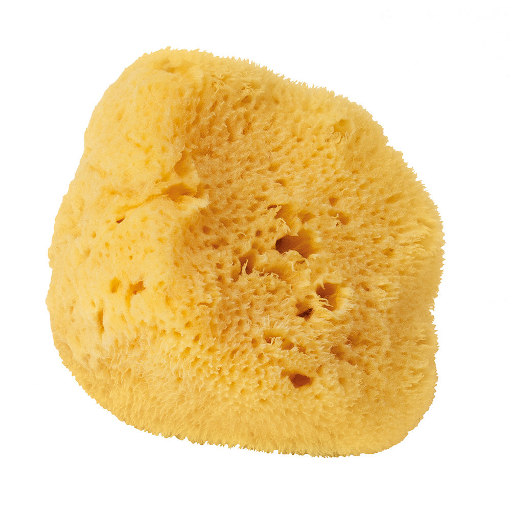 Natural silk sea sponge 10cm