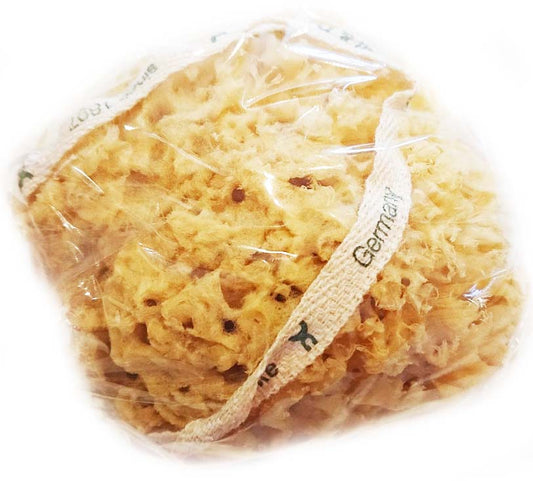 Natural sea sponge on a string 10cm